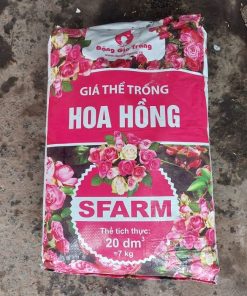 Giá thể trồng hoa hồng