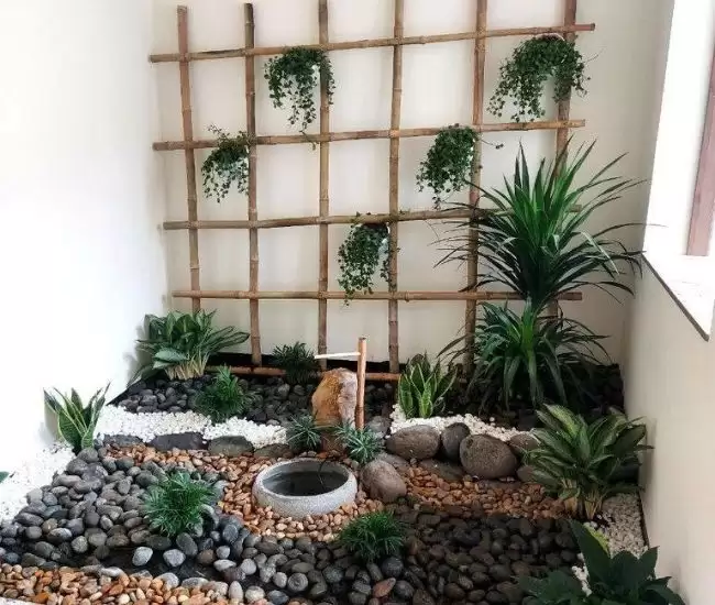 Cửa Hàng Bán Cây Đẹp Giá Rẻ Trực Tuyến