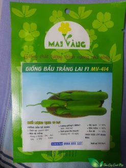 hạt giống bầu trắng lai f1